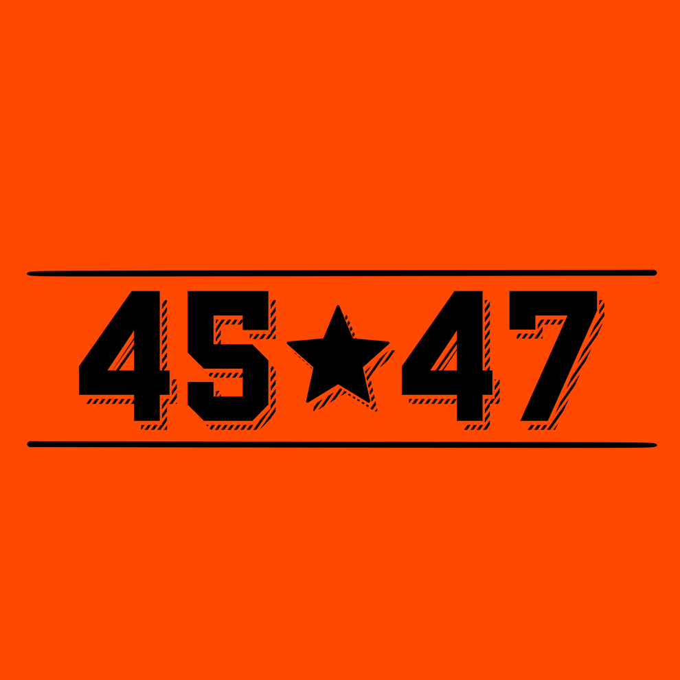 45 - 47 - Hi - Vis Long Sleeve - Armed American Supply