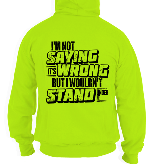 I Wouldn't Stand Under It - Hoodie